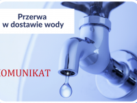grafika