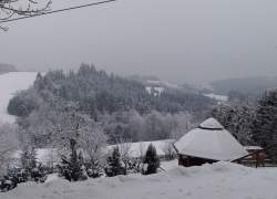 Widok
