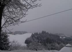 Widok