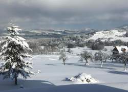 Zimowy widok