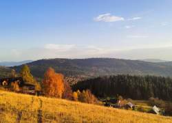 Widok jesienny