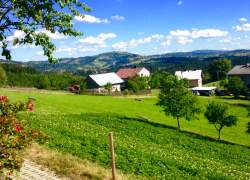 Widok