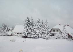 Apartamenty u Jozefa