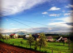 Widok