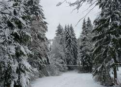 foto. U Marysi "Zima"