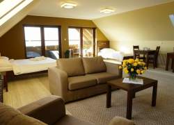 Wnętrze sypialni – uwagę zwraca dwoje dużych drzwi balkonowych, wnętrze jasne. Beżowa sofa i fotel, na stoliku żółte róże. Jedno łózko podwójne, a drugi pojedyncze. Stolik z dwoma krzesłami, na nim serwis kawowy.