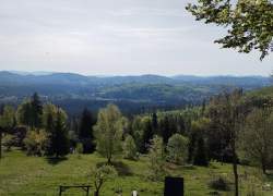 Widok letni