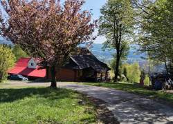 Widok