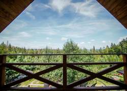 widok z balkonu na poddaszu - zielone drzewa