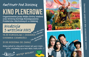 Plakat kina plenerowego