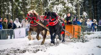 Zawody Furmanów 2026 fot. M. Kuźma