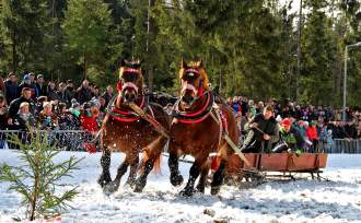 XV Zawody Furmanów