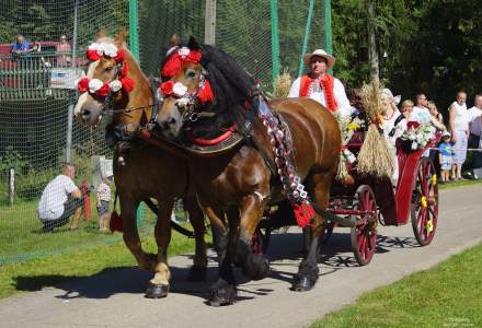 Dożynki 2023