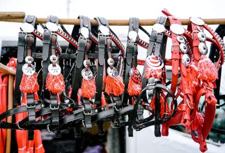 Zawody Furmanów 2026 fot. M. Kuźma