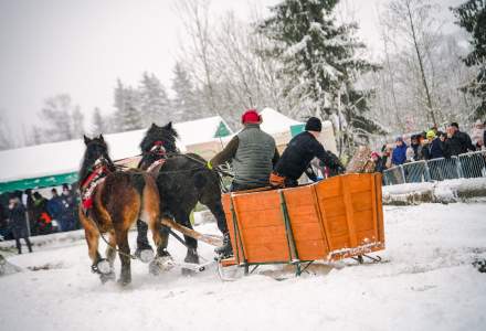 Zawody Furmanów 2026 fot. M. Kuźma