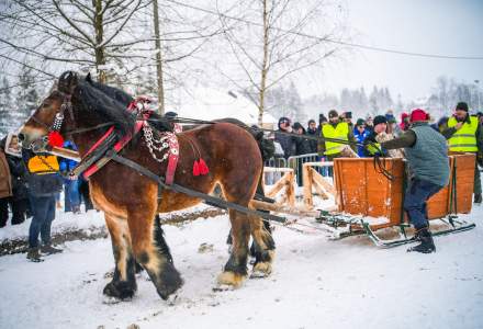 Zawody Furmanów 2026 fot. M. Kuźma