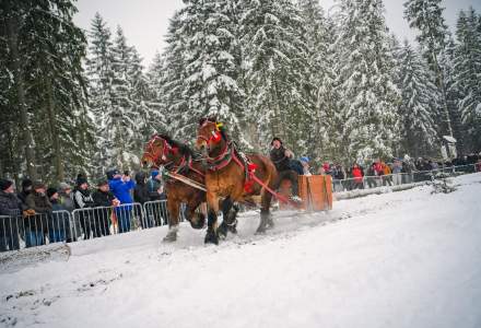 Zawody Furmanów 2026 fot. M. Kuźma