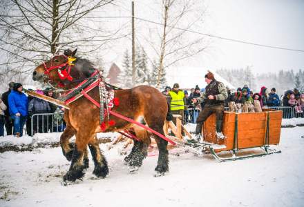 Zawody Furmanów 2026 fot. M. Kuźma