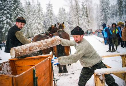Zawody Furmanów 2026 fot. M. Kuźma