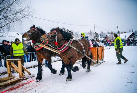 Zawody Furmanów 2026 fot. M. Kuźma