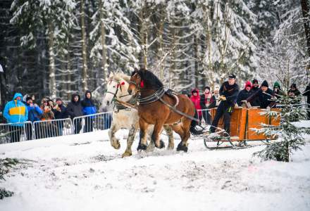 Zawody Furmanów 2026 fot. M. Kuźma