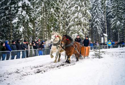 Zawody Furmanów 2026 fot. M. Kuźma