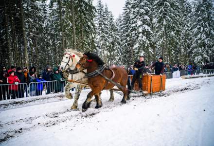 Zawody Furmanów 2026 fot. M. Kuźma