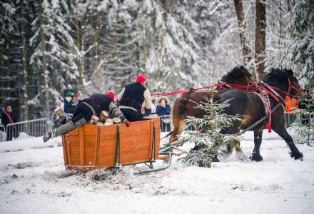 Zawody Furmanów 2026 fot. M. Kuźma