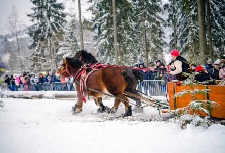 Zawody Furmanów 2026 fot. M. Kuźma