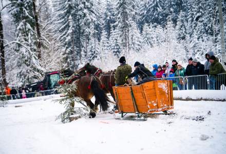 Zawody Furmanów 2026 fot. M. Kuźma