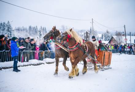Zawody Furmanów 2026 fot. M. Kuźma