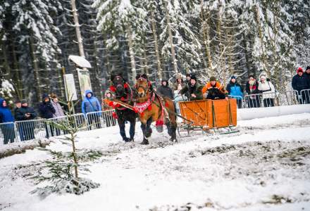 Zawody Furmanów 2026 fot. M. Kuźma