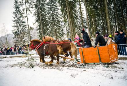 Zawody Furmanów 2026 fot. M. Kuźma