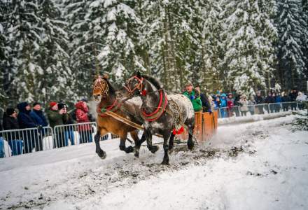 Zawody Furmanów 2026 fot. M. Kuźma