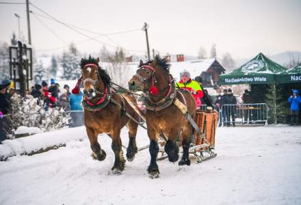 Zawody Furmanów 2026 fot. M. Kuźma