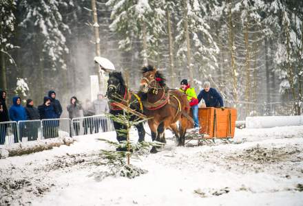 Zawody Furmanów 2026 fot. M. Kuźma