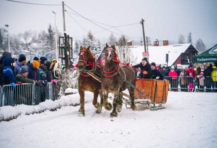 Zawody Furmanów 2026 fot. M. Kuźma