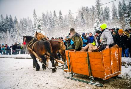 Zawody Furmanów 2026 fot. M. Kuźma