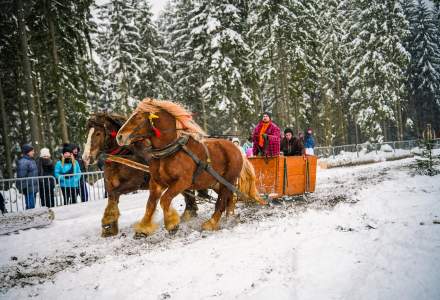 Zawody Furmanów 2026 fot. M. Kuźma