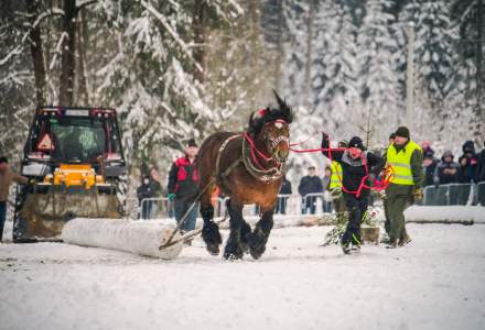 Zimowe Zawody Furmanów fot. Michał Kuźma