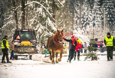Zimowe Zawody Furmanów fot. Michał Kuźma