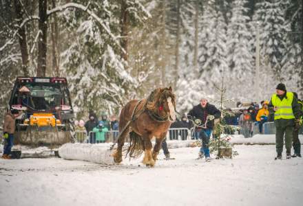 Zimowe Zawody Furmanów fot. Michał Kuźma