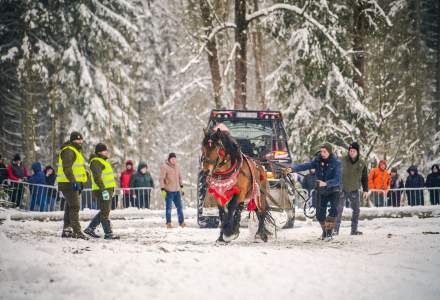 Zimowe Zawody Furmanów fot. Michał Kuźma