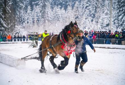Zimowe Zawody Furmanów fot. Michał Kuźma