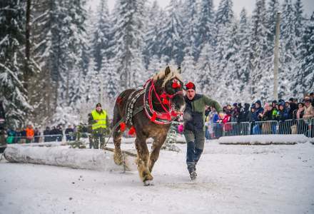 Zimowe Zawody Furmanów fot. Michał Kuźma