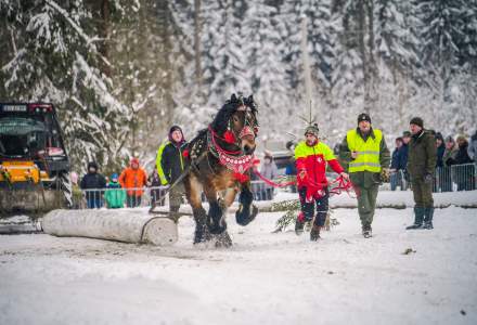Zimowe Zawody Furmanów fot. Michał Kuźma
