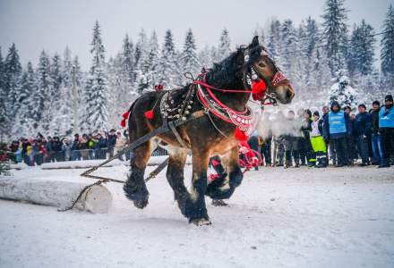 Zimowe Zawody Furmanów fot. Michał Kuźma