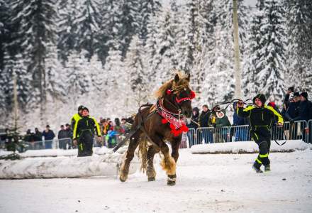Zimowe Zawody Furmanów fot. Michał Kuźma