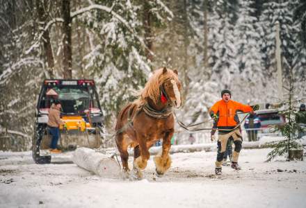 Zimowe Zawody Furmanów fot. Michał Kuźma