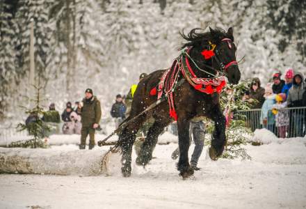 Zimowe Zawody Furmanów fot. Michał Kuźma